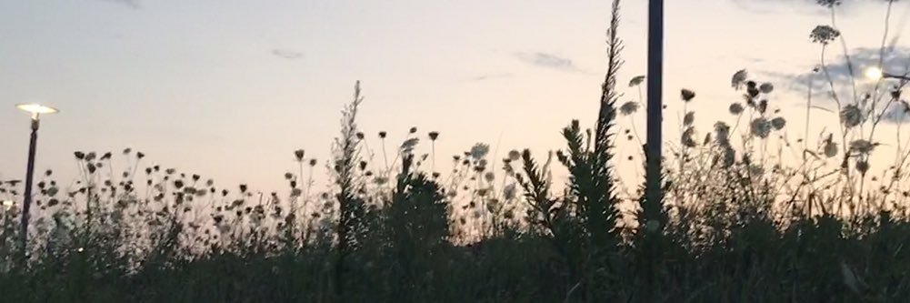 potatothottie's profile banner image