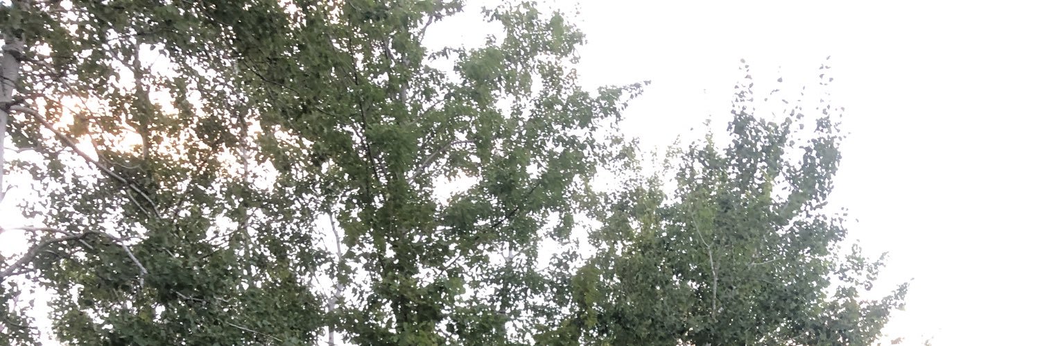 GarrettGigants's profile banner image