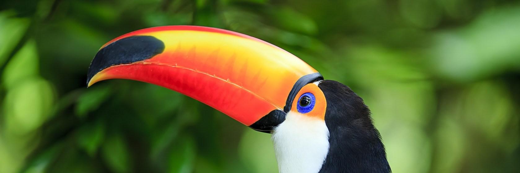 HousAcapulco's profile banner image