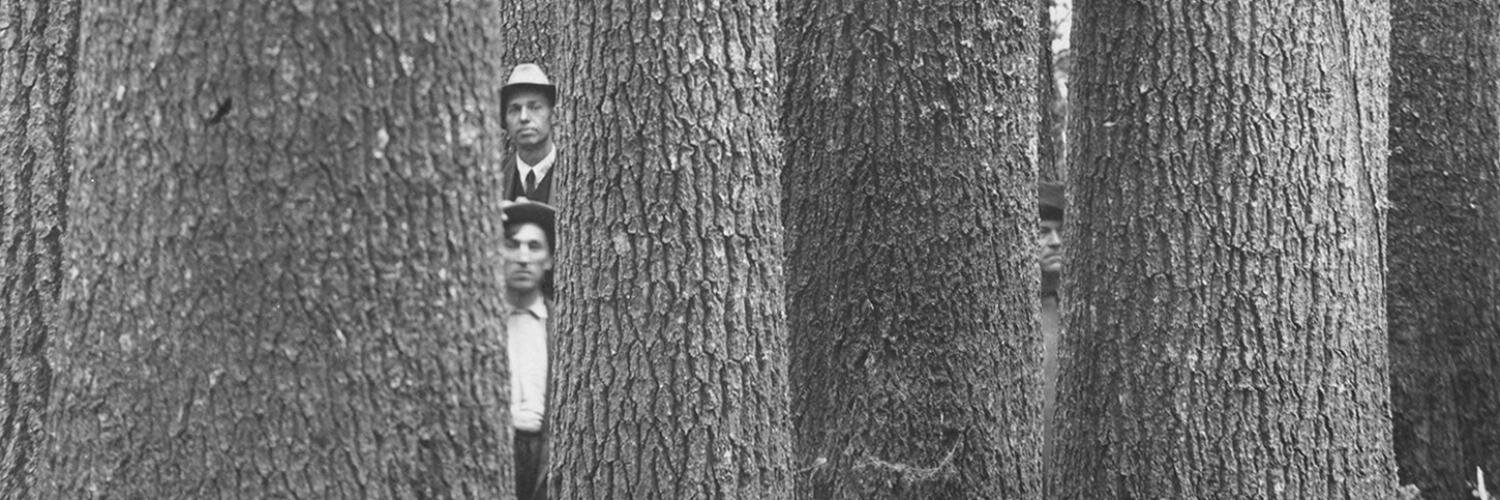 foresthistory's profile banner image