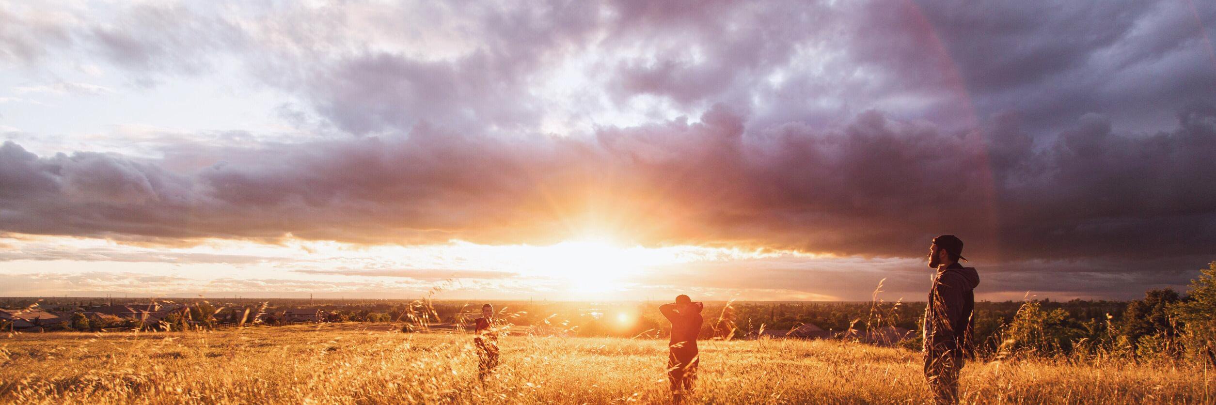 APEN Startups banner