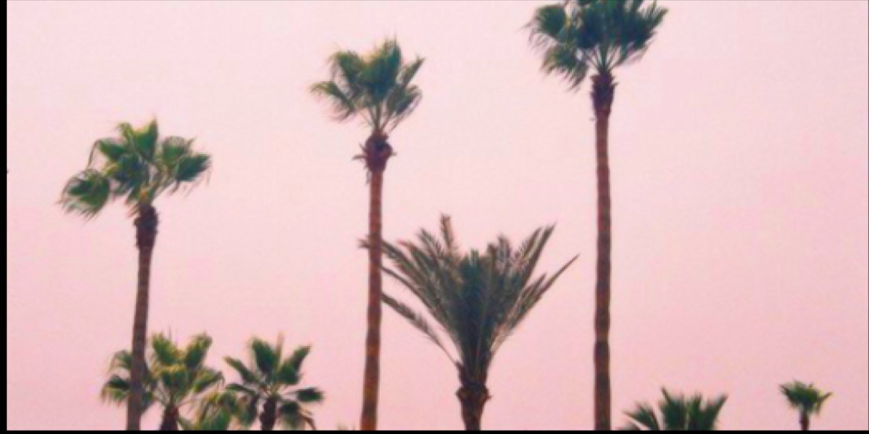 AllyGahn's profile banner image