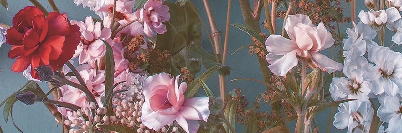 XLaurMurX's profile banner image