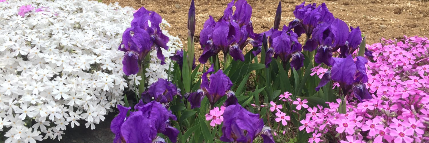 フォーティーフォー banner