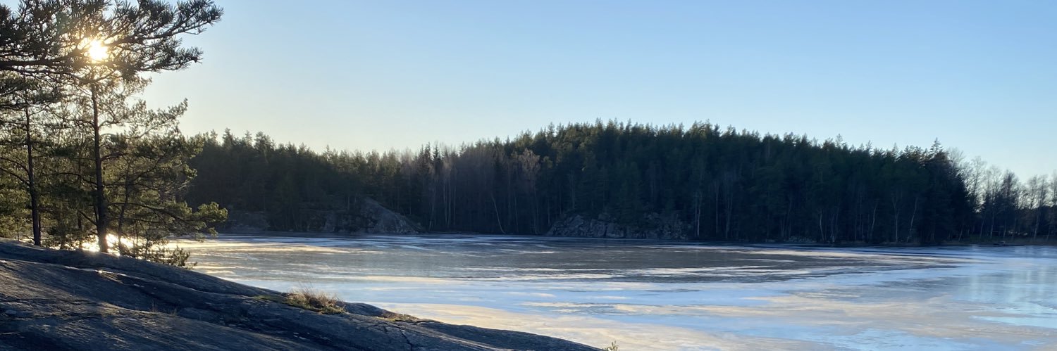 Angelica Israelsson Silfver banner