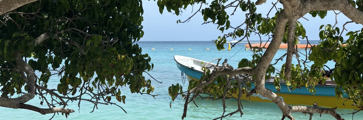 daniela_castrop's profile banner image