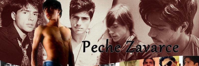 Zavarce4Ever's profile banner image