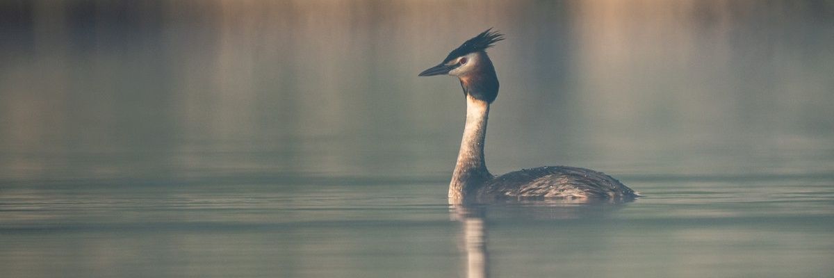 PiotrTrachta's profile banner image