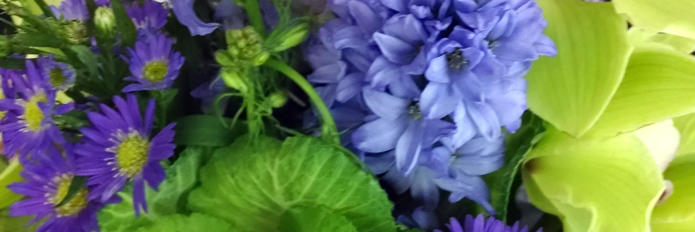CareysFlowers's profile banner image
