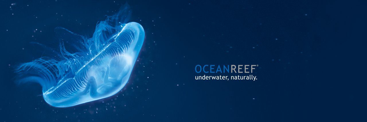 oceanreefgroup's profile banner image