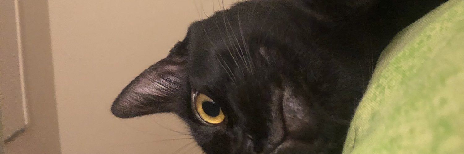 aazulds's profile banner image