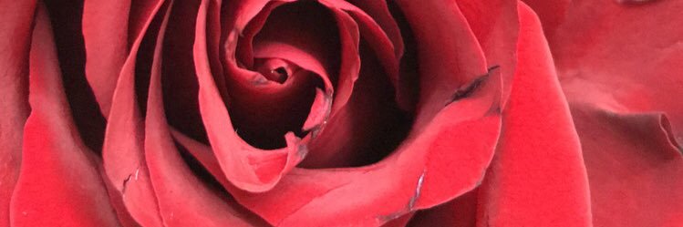 Limited_Tee's profile banner image