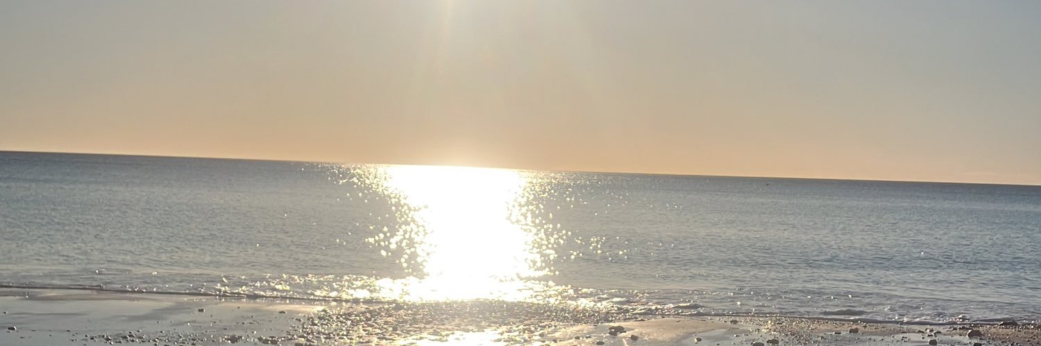 olsunmu2's profile banner image