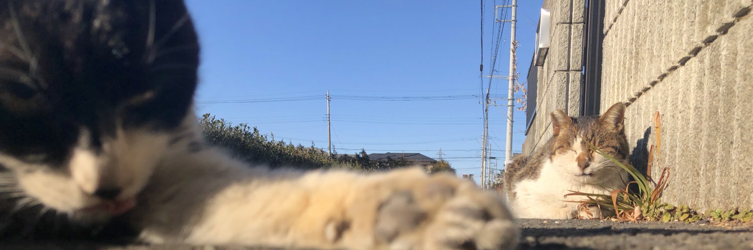 yanaponimo's profile banner image