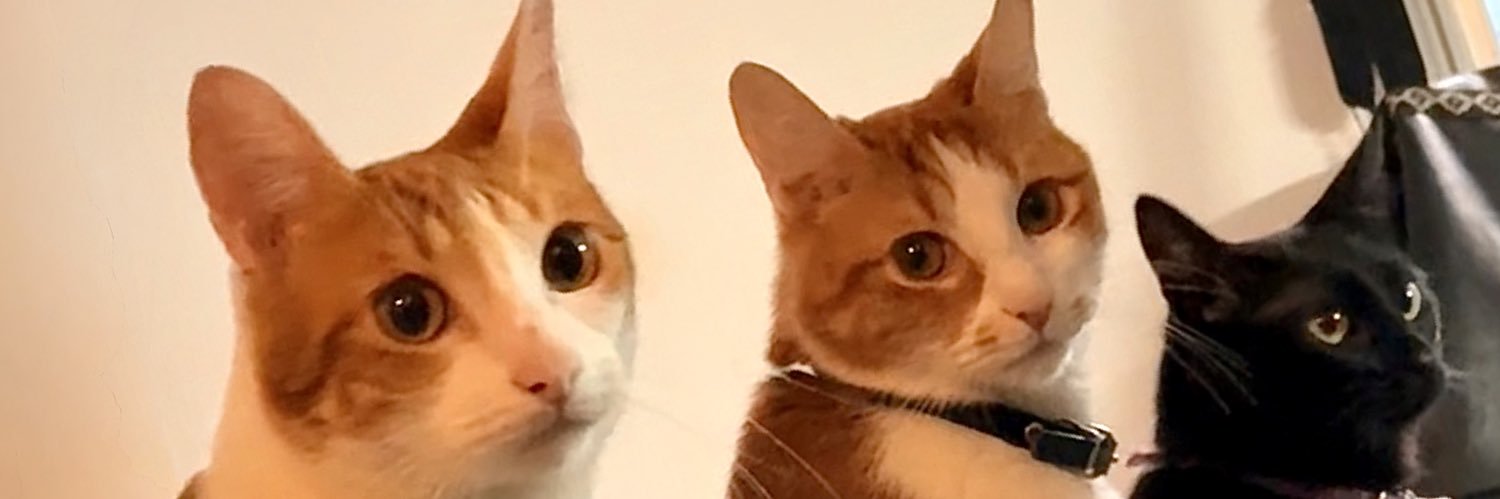 AriTaborda_'s profile banner image