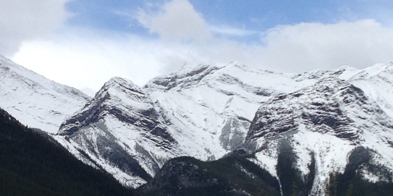 dricerr's profile banner image