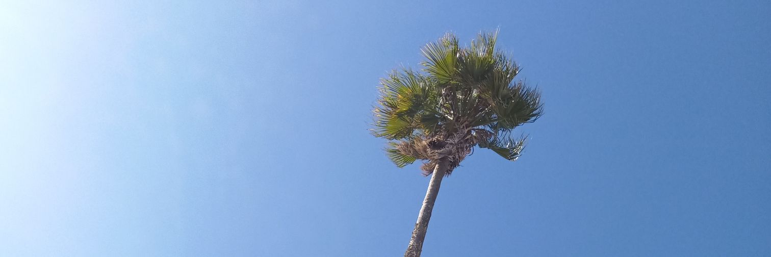 Jonatasbras's profile banner image