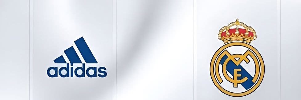 Vikthor banner