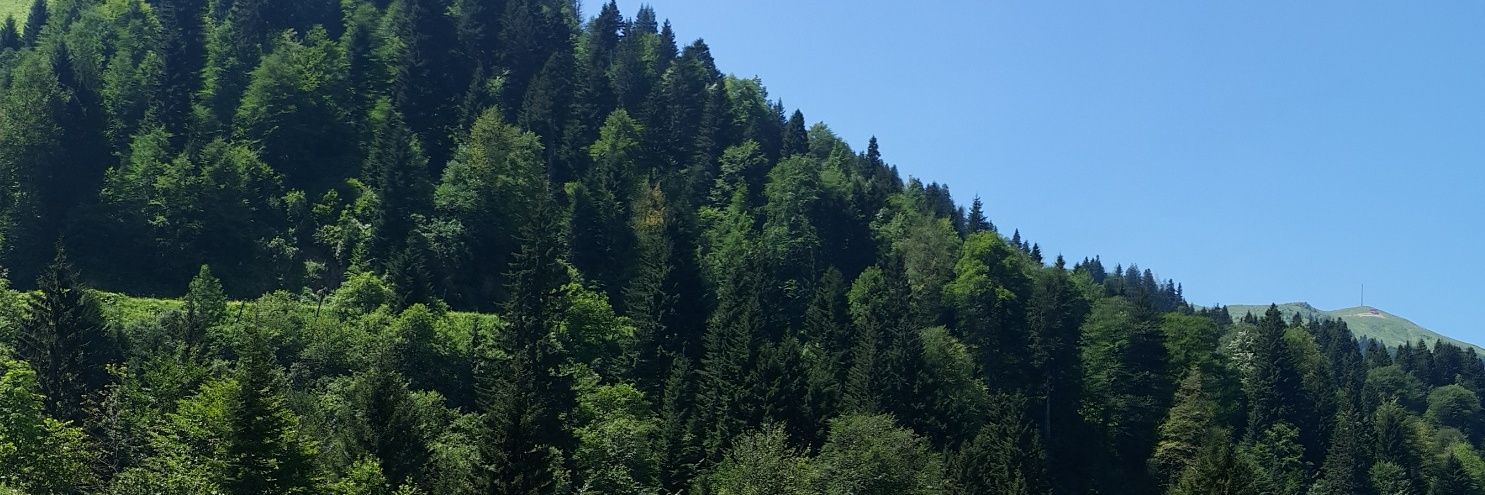fuatteroglu's profile banner image