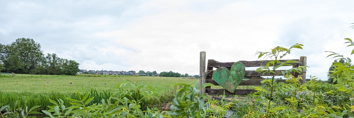 Martien Brander banner