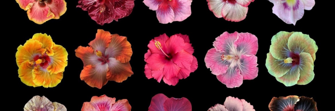 kayyystop's profile banner image