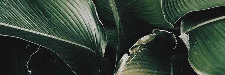 Camamam's profile banner image