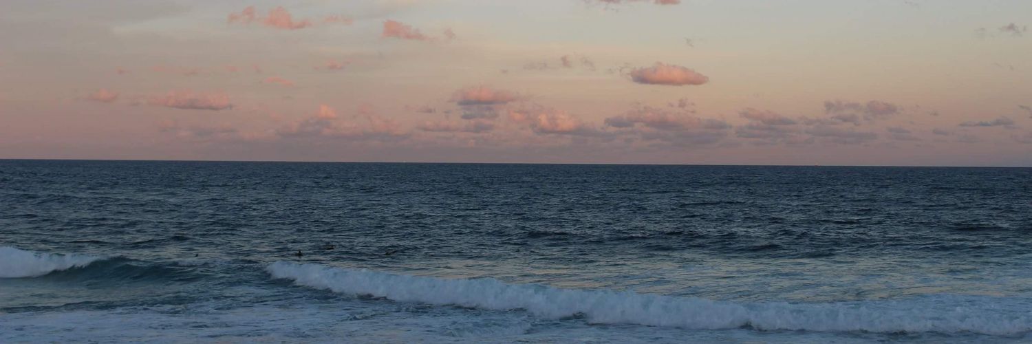 steeshi_'s profile banner image