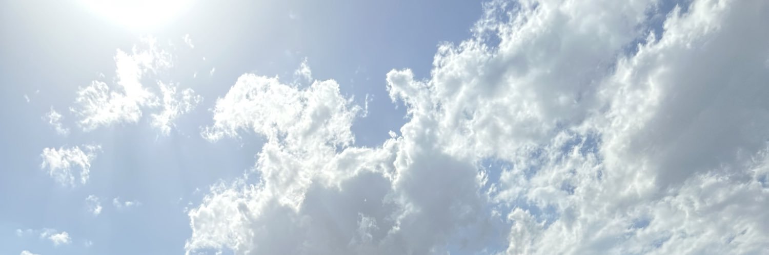 Julia_manhal's profile banner image
