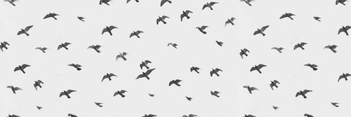 IbToCielo's profile banner image