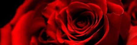Ledi_Deigh's profile banner image