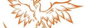 Atiza_II's profile banner image