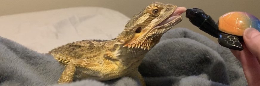 _Airrickah's profile banner image