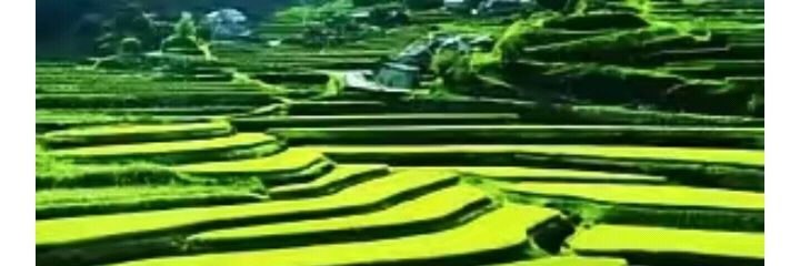 HartonoPrayitno's profile banner image