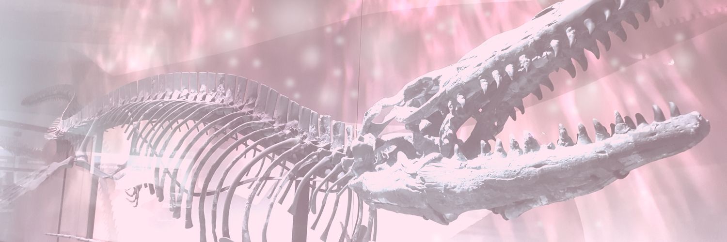 🌺 Dylan 🦕 🍉‼️ banner