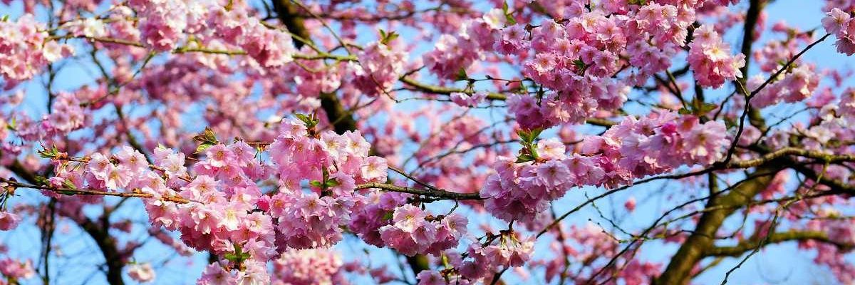 nad_deb's profile banner image
