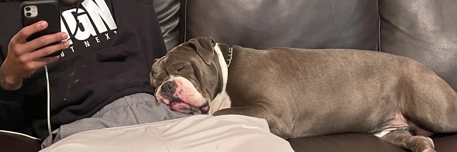 James Reese V banner