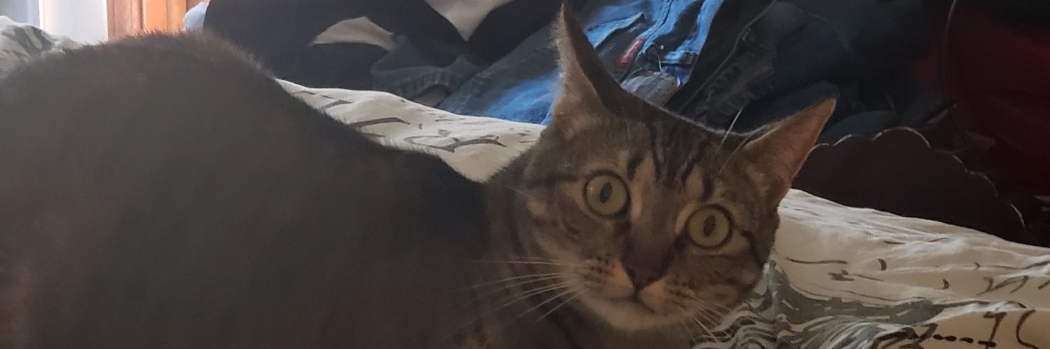 madimedver's profile banner image
