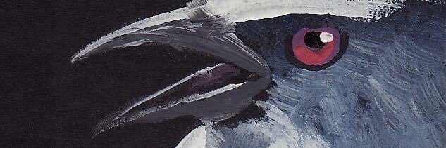 Sovellan TOH 💙💛 banner