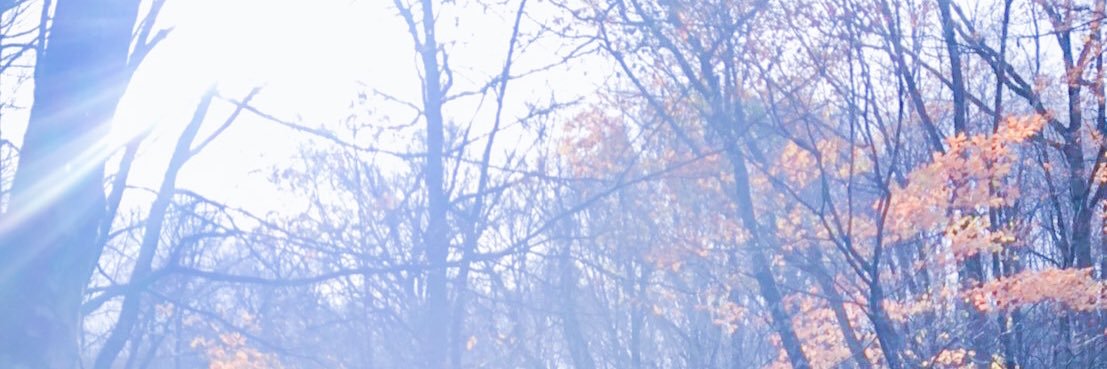 CriptWats's profile banner image