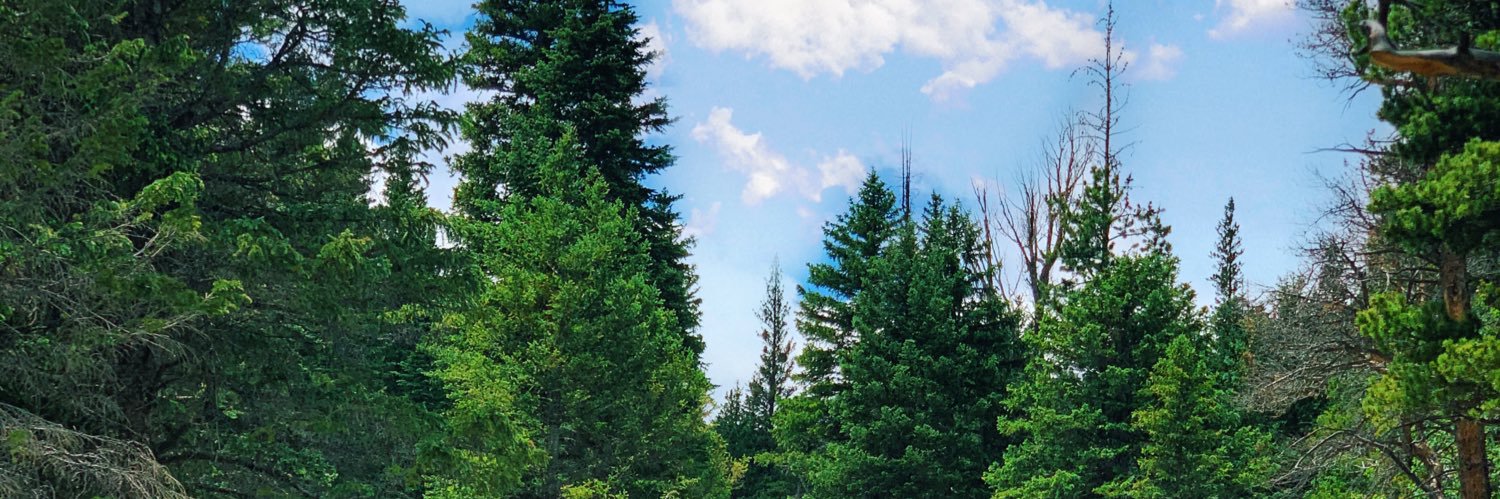 ren_gardner's profile banner image