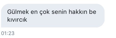 Merve Erden banner