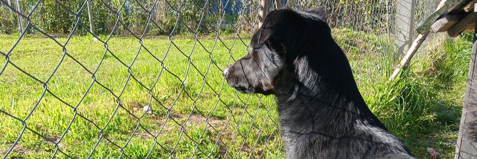 lubbbba's profile banner image