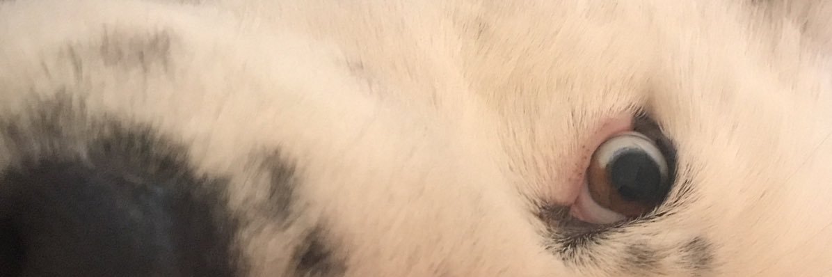 ____ShyGuy's profile banner image
