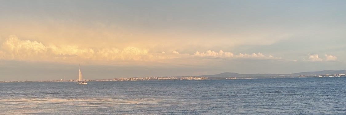 danavachon's profile banner image