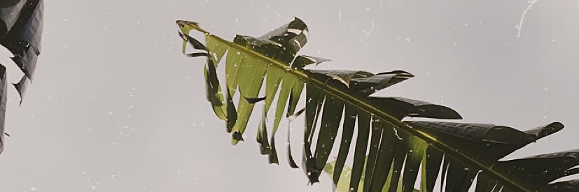 EloisaTurcios's profile banner image