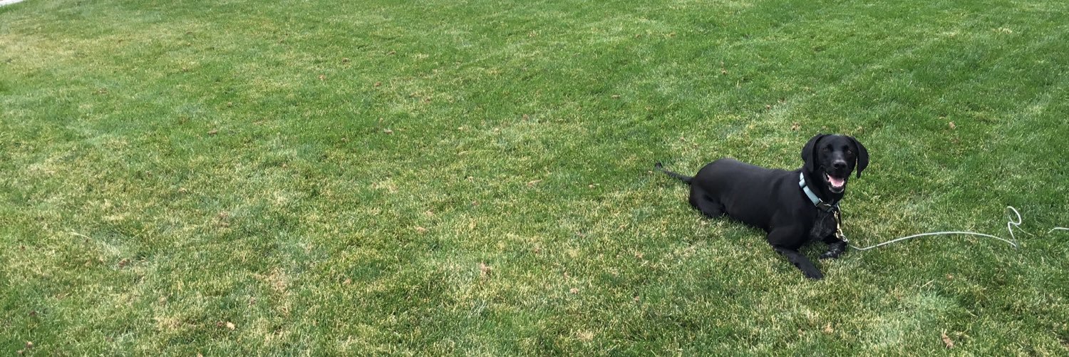 Sophie Sestero banner