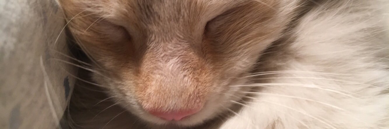 RyTuck23's profile banner image