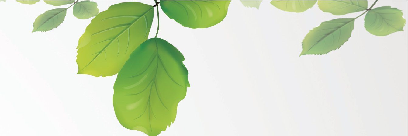 bnc2030's profile banner image