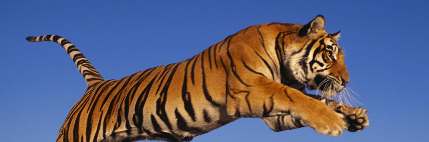 mu_fc7's profile banner image