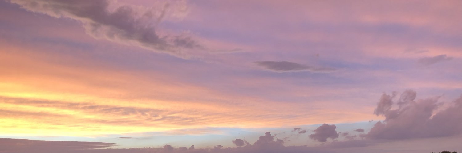 IaraWithAn_I's profile banner image